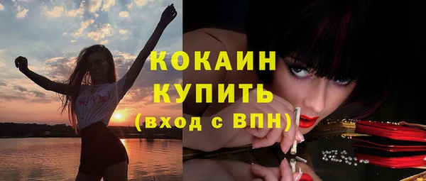 шишки Абинск