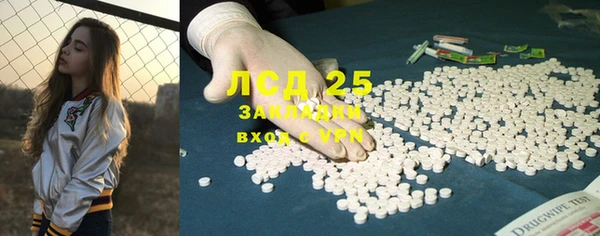 шишки Абинск