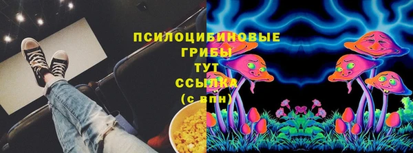 шишки Абинск